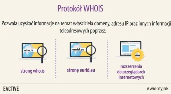 Jak ustalić właściciela domeny i uniknąć oszustw internetowych